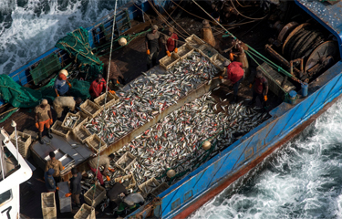 There’s been a huge increase in the output and earnings of China’s distant-water fleet since 2010 – but the fast pace of the sector’s growth may be over.