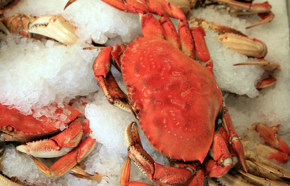 California delays commercial crab season start for section of Northern coast