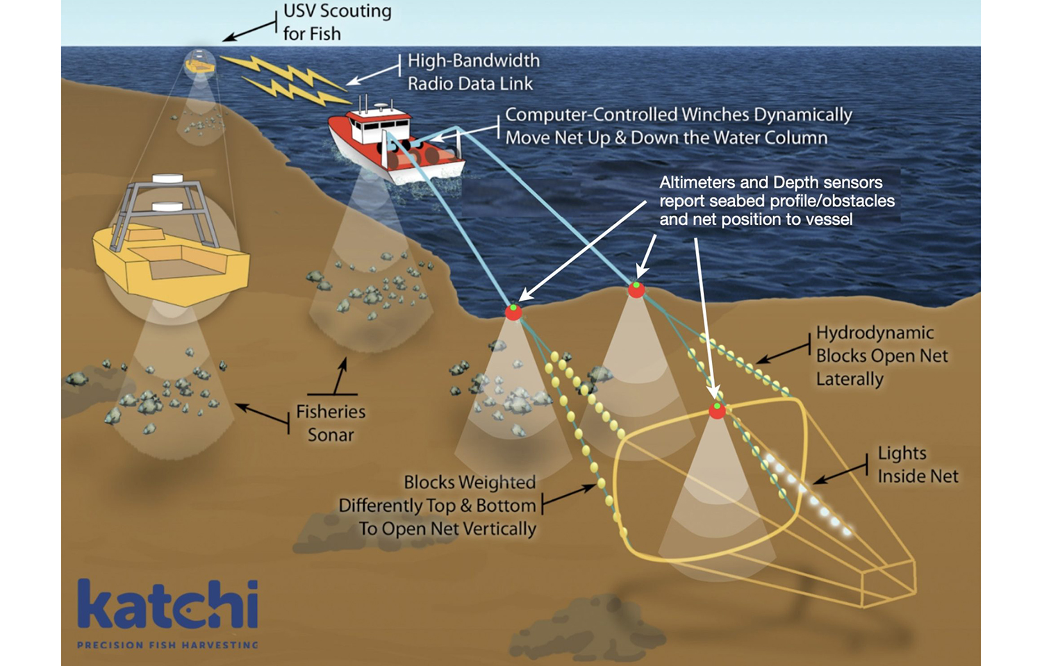 The Impact of Commercial Bottom Trawling - The Fishing Website