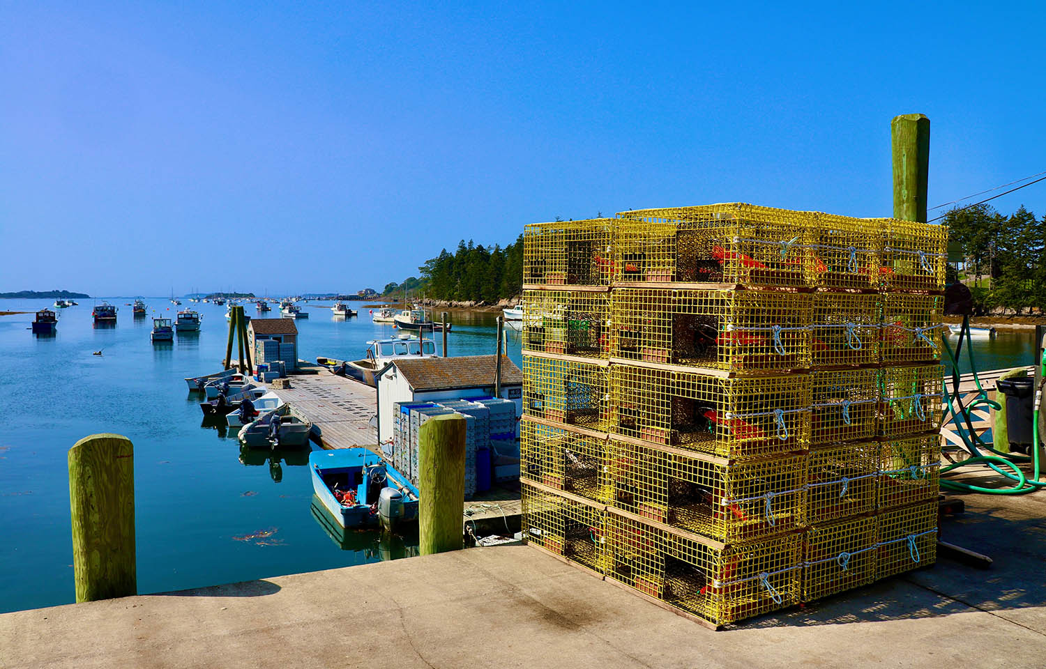 Lobster traps