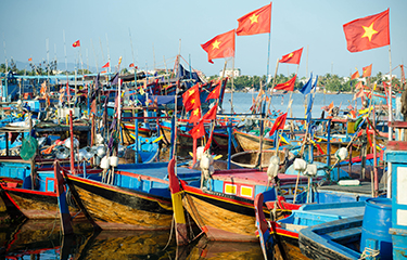 Khanh Hoa fishermen stick to the sea, trying to remove IUU 'yellow card' 