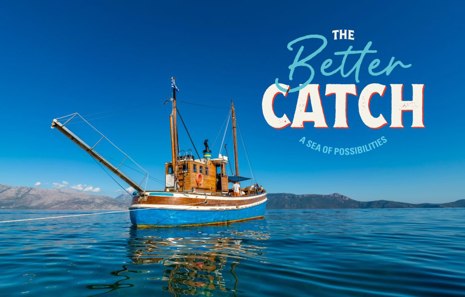 The Better Catch Program