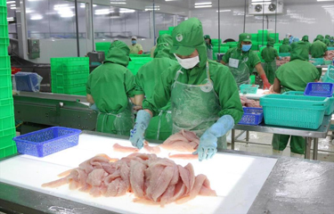 Vietnam pangasius exports achieved record valuation in April ...