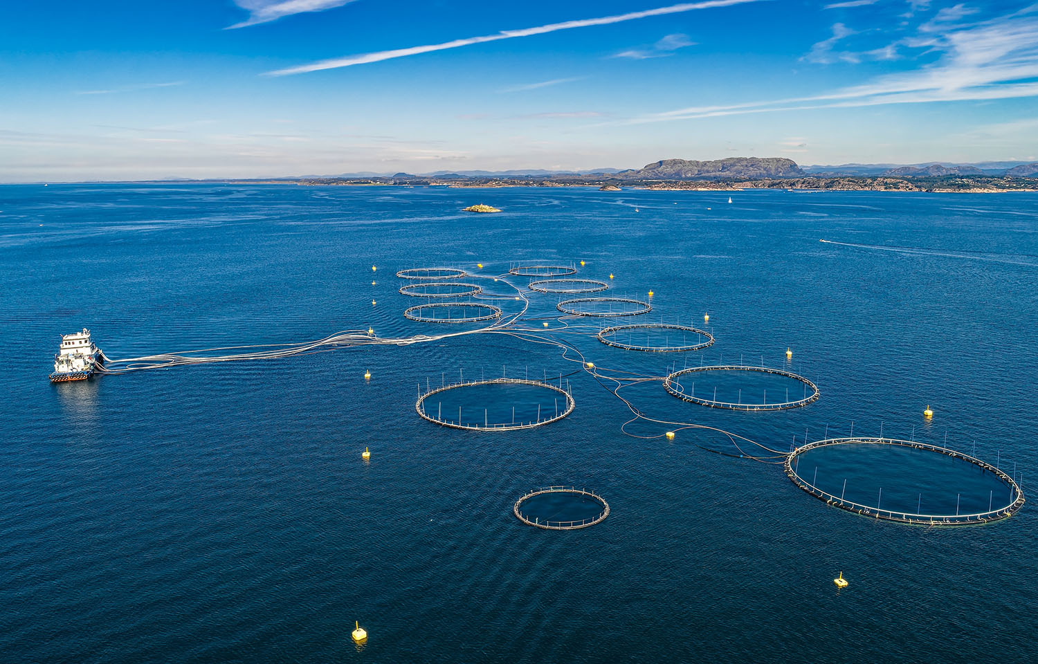 An aerial view of several salmon net pens in blue ocean water near Bergen, Norway