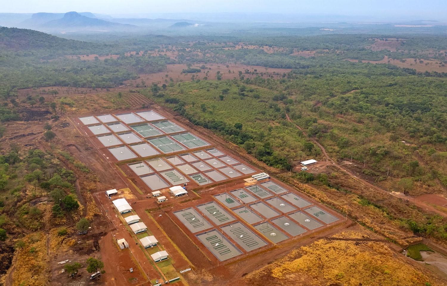 Brasil aumenta produção de peixes cultivados em 2023, com espécies de tilápia liderando