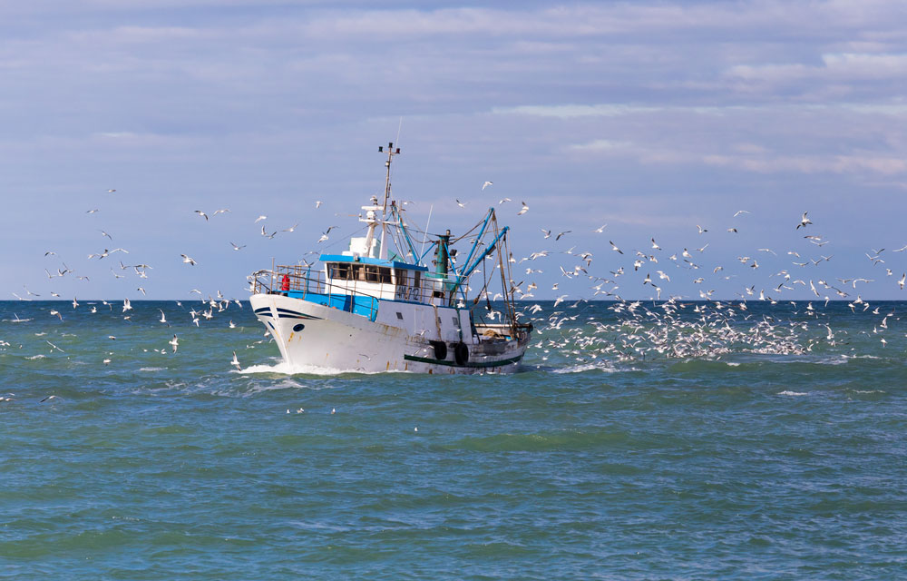 European Commission authorizes emergency funding for fishers in response to fuel crisis