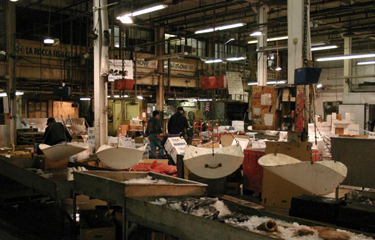 Bryan Gosman and Asa Gosman, partial owners of Bob Gosman Co. in Montauk, New York, U.S.A., pleaded guilty in federal court to fishing fraud charges.