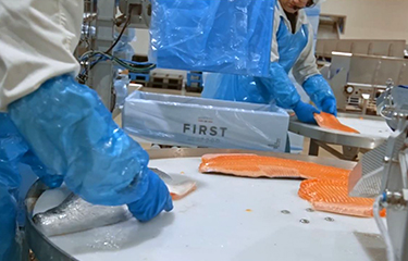 A First Salmon processing facility.