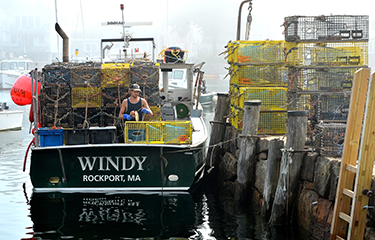 Maine approves lobster innovation fund as study reveals high costs of  ropeless gear