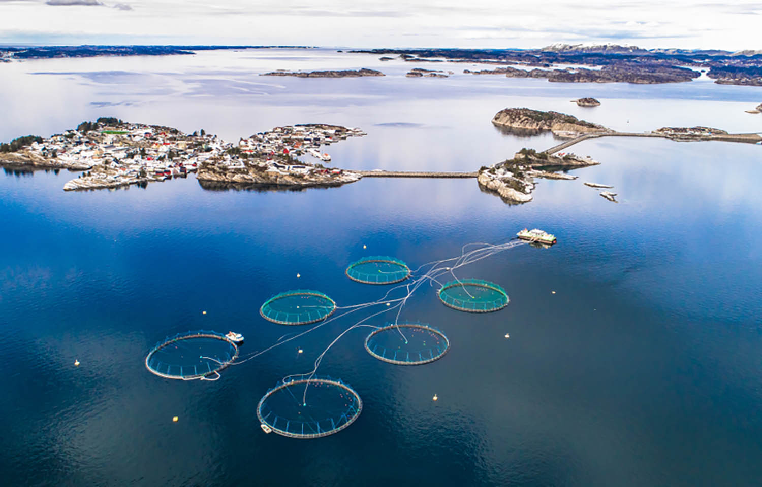 A salmon farm in Bergen, Norway