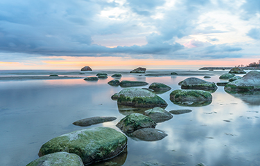 The International Council for the Exploration of the Sea (ICES) has temporarily banned Russian delegates from participating in the organization’s activities until further notice in response to the Russian invasion of Ukraine.