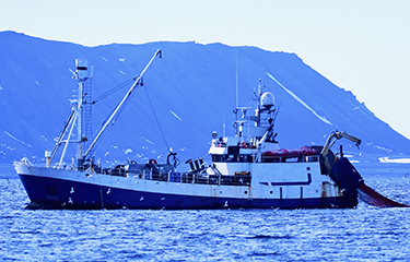 A Russian shrimp trawler.