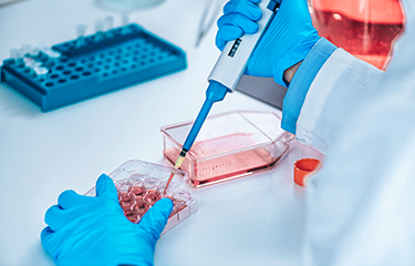 A cell-cultured food lab