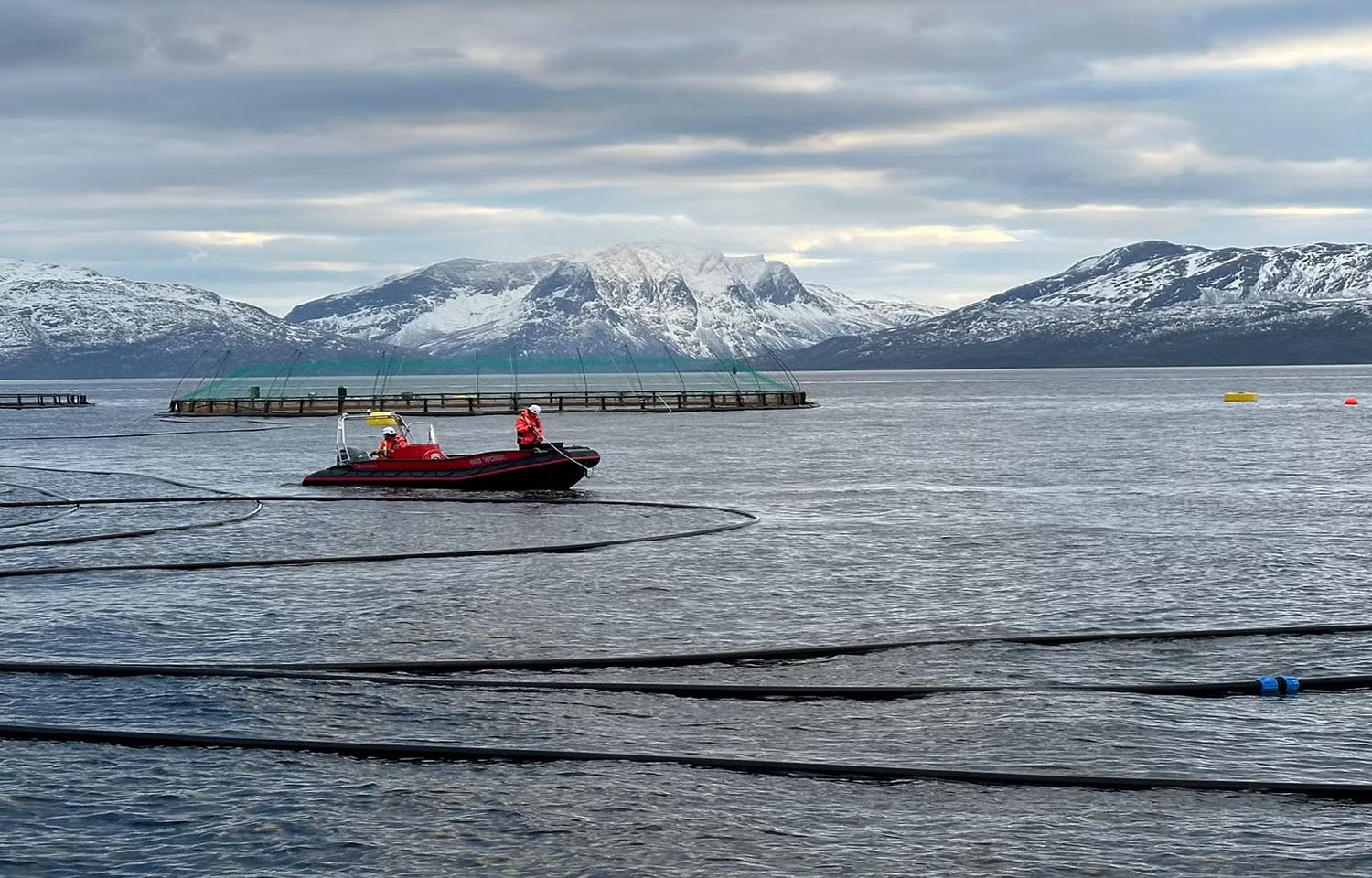 Cermaq Group employees on a boat at a salmon farm with snowy mountains in the background