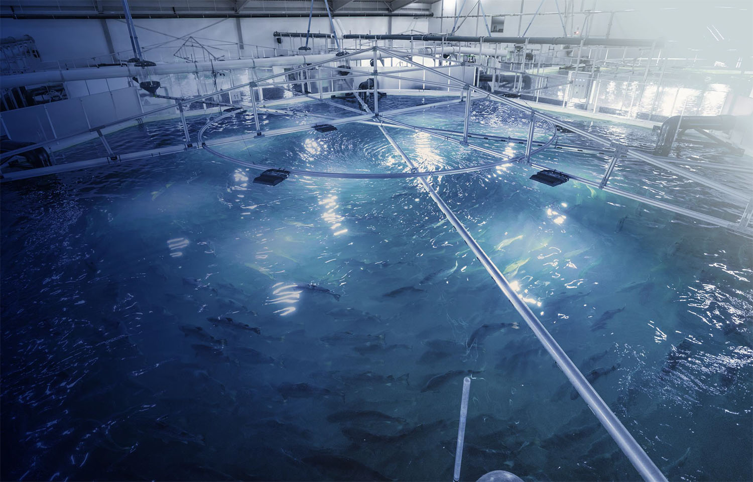 Nordic Aqua Partners' RAS system in China