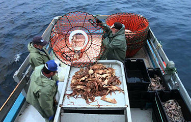 Canadian snow crab fishers at work.