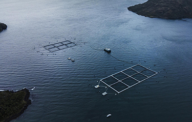 A Multi X salmon farm in Chile