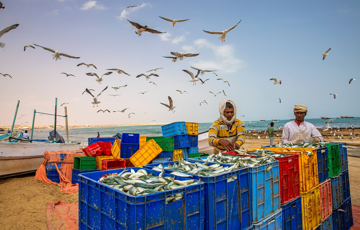 WTO hands out first tranche of grants to help developing countries meet terms of fishing subsidy deal