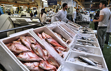 A variety of fish species on display at a London fish market.
