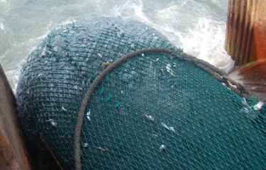 A large trawling net being pulled on board a boat.