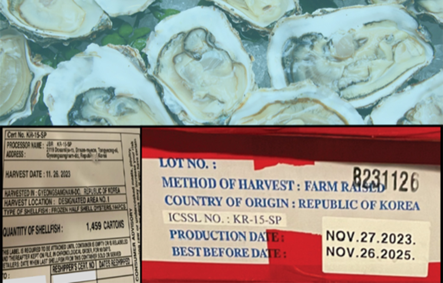 A picture of oysters being blamed for a norovirus outbreak in California