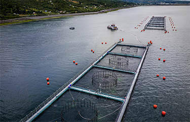 A salmon farm operated by Salmones Camanchaca.