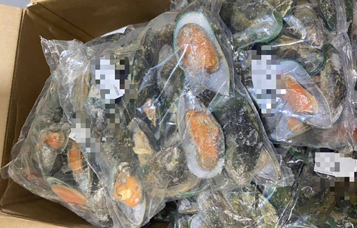 Frozen oysters confiscated