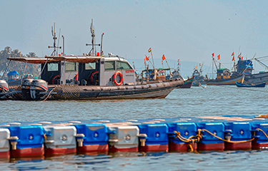 Is the Lower Fish Catch Along India's West Coast the Work of Climate  Change? – The Wire Science