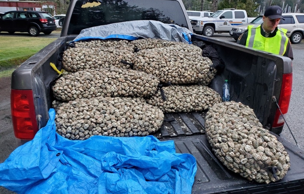 Canadian man fined CAD 5,000 for illegally taking clams