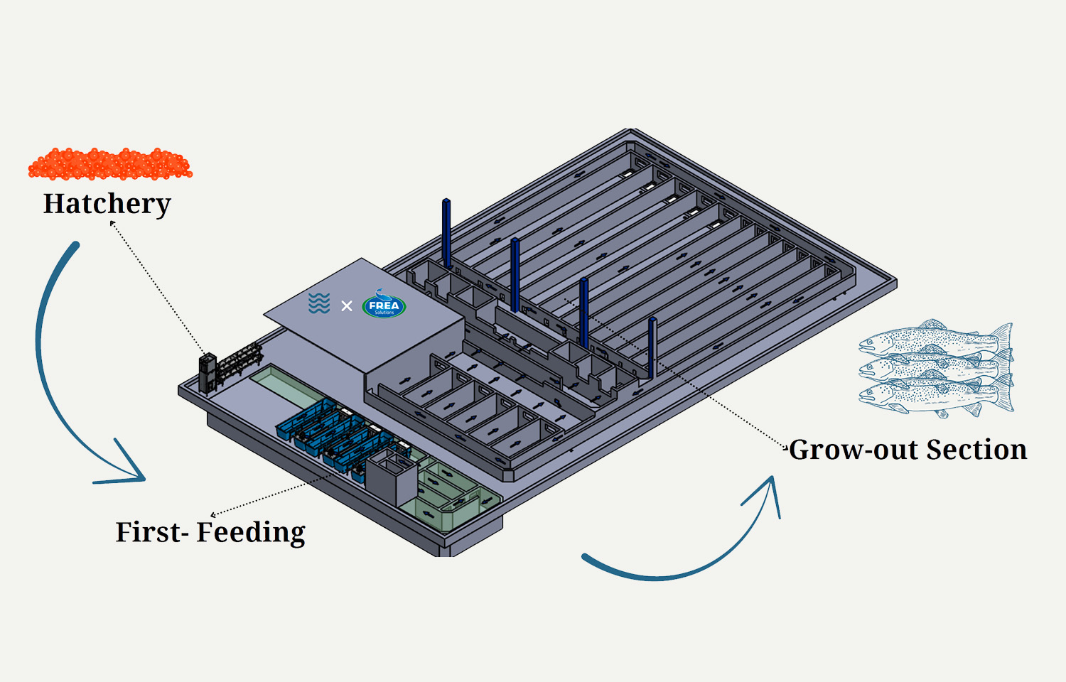 A rendering of Blue Wave Aquaculture's planned rainbow trout RAS