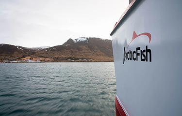 An Arctic Fish vessel in Iceland.