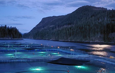 Cermaq Canada's salmon farm located on Brent Island in British Columbia.