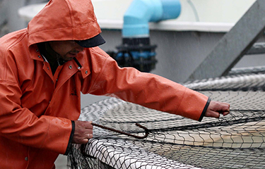 SalmonChile en Frutillar: Un llamado a la acción ante la crisis salmonera