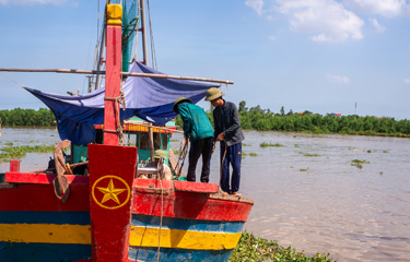 The Vung Tau multispecies trawl fishery improvement project (FIP), based in southern Vietnam, has been accepted into the MarinTrust Improver Program as part of its multispecies pilot.