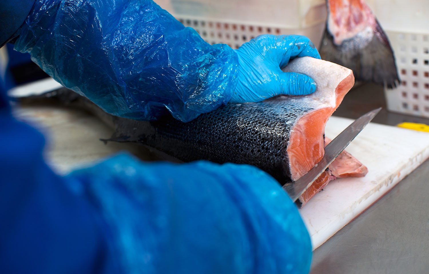 A person processing a salmon