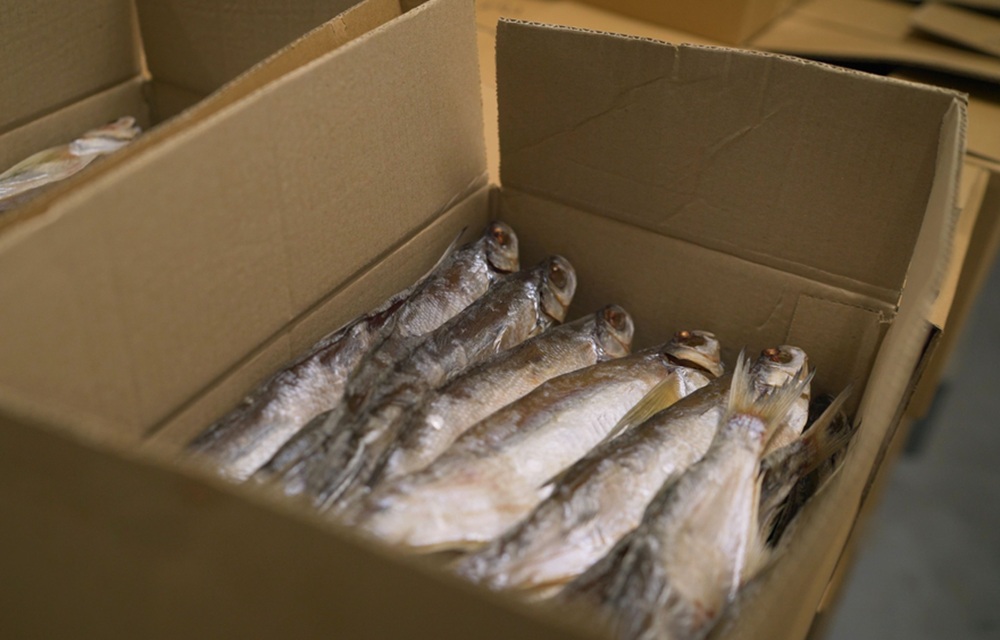 Fish prepared for shipment