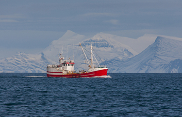 A photo of a commercial fishing vessel in Iceland.