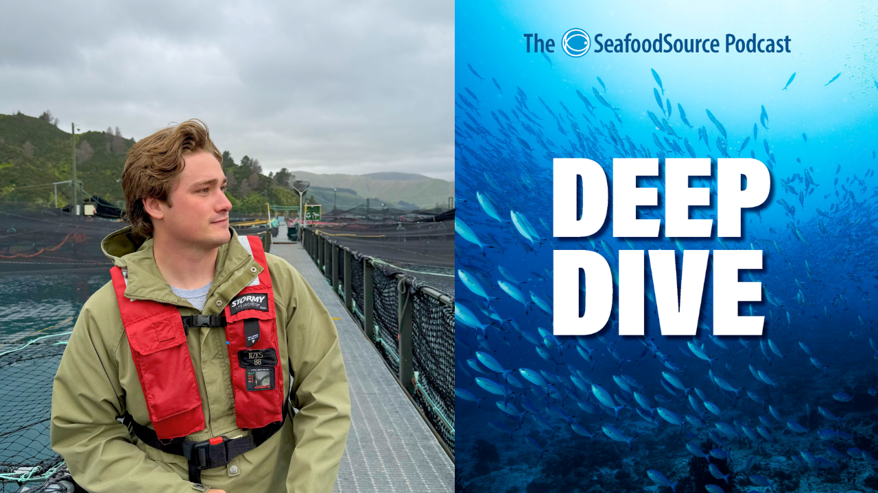 Deep Dive Podcast: James Sibley says now is the time for seafood to invest in social media