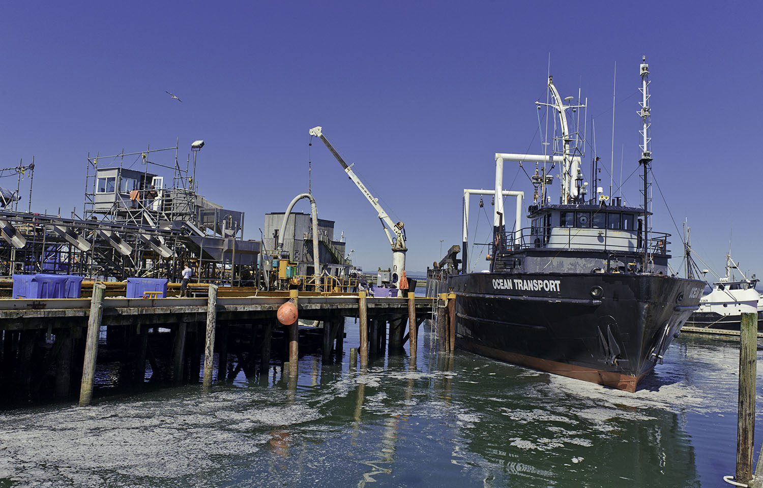 A fishing vessel in Washington state unloading its catch