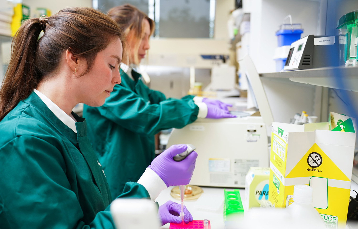 A pair of Benchmark Genetics researchers working in a laboratory