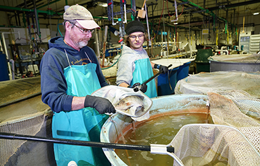 Purdue's Aquaculture Research Lab.