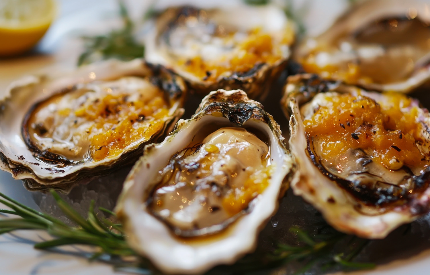 Grilled oysters