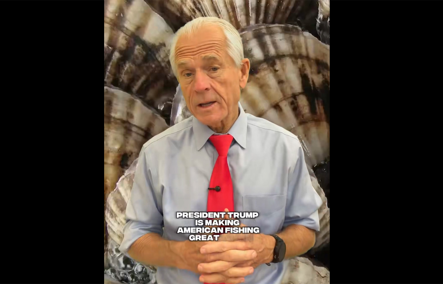 White House Senior Counselor for Trade and Manufacturing Peter Navarro