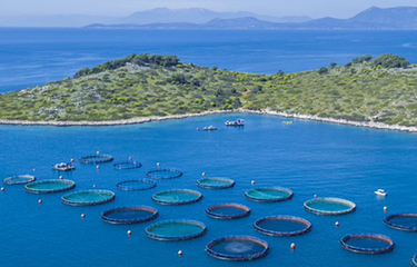 An Avramar farm in the Mediterranean.