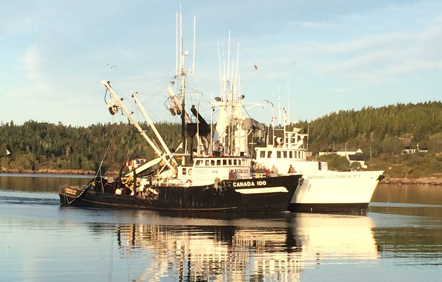 A black fishing vessel and a white fishing vessel on calm waters in New Brunswick, Canada