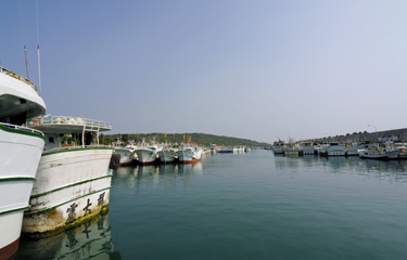 A U.S. labor campaign group has called on Taiwan to be downgraded in the U.S. State Department’s upcoming Trafficking in Persons (TIP) Report.