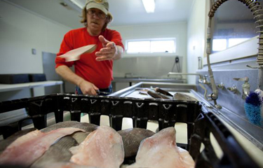 Direct Seafood Sales  New Hampshire Sea Grant