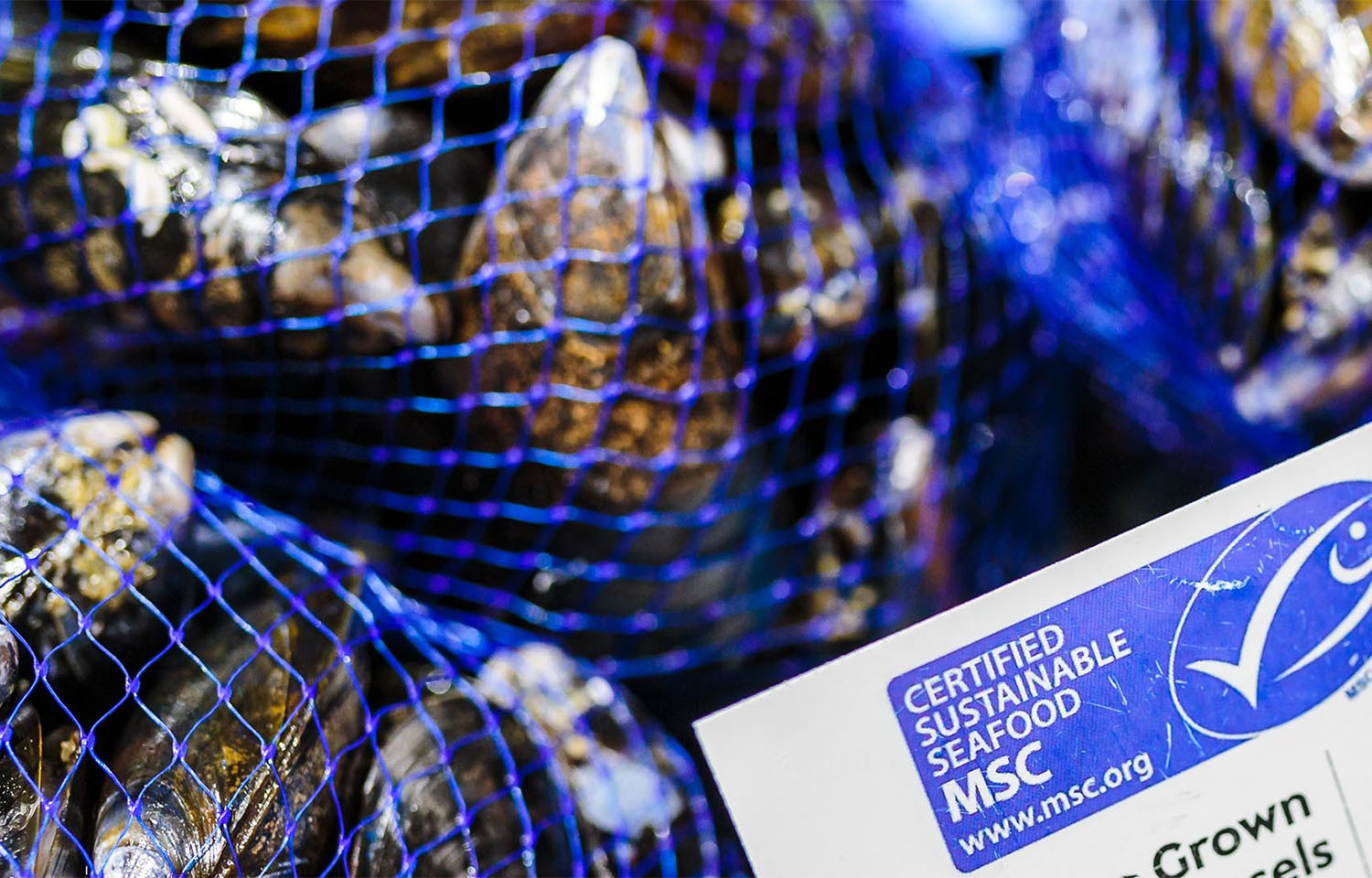 A bag of MSC-certified mussels