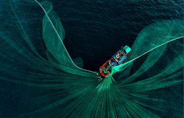 The Center for Advanced Defense Studies has called for the delisting of Pingtan Marine from the Nasdaq Stock Exchange.