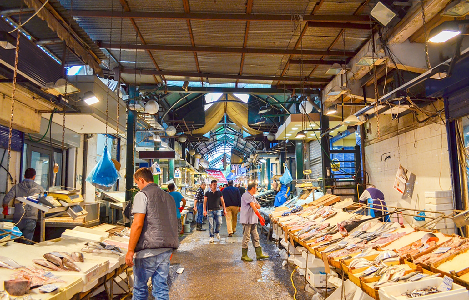 Europeans spending more on seafood while consumption rates continue to fall, EU report finds